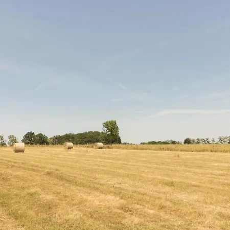 Casa vacanze La Grande Ferme Ponlat-Taillebourg